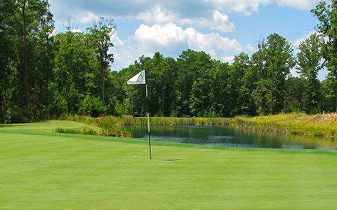 Our Famous Six Packs