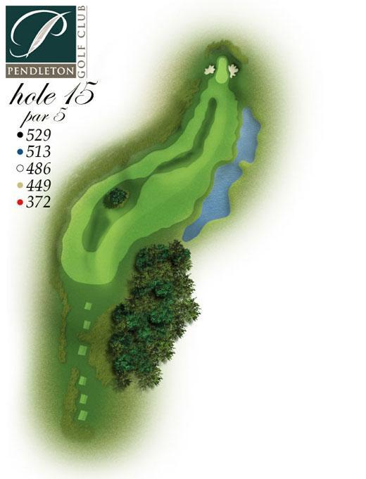 Hole #15