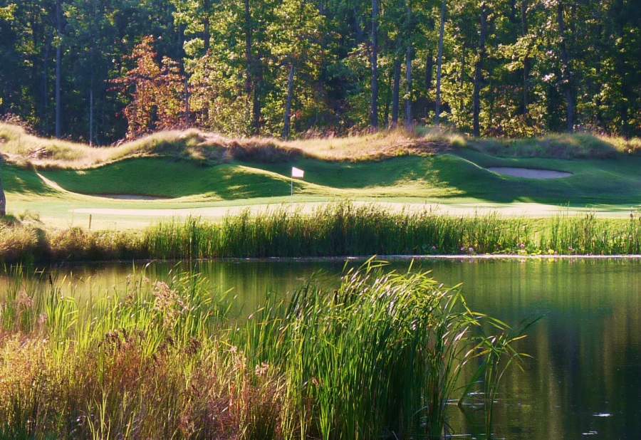 Surrounded by nature & wildelife